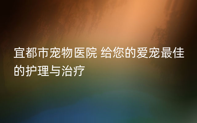 宜都市宠物医院 给您的爱宠最佳的护理与治疗