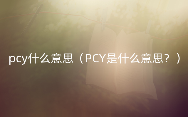 pcy什么意思（PCY是什么意思？）