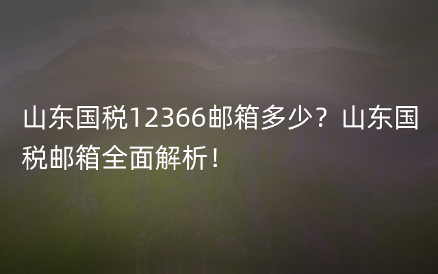 山东国税12366邮箱多少？山东国税邮箱全面解析！