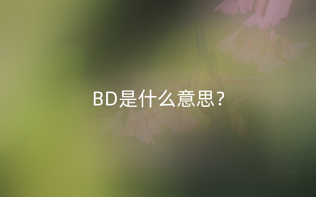 BD是什么意思？