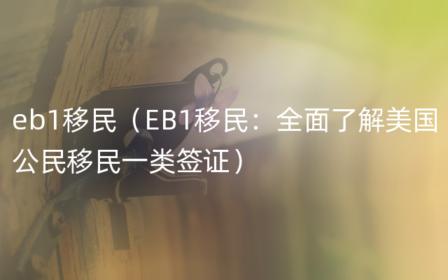 eb1移民（EB1移民：全面了解美国公民移民一类签证）