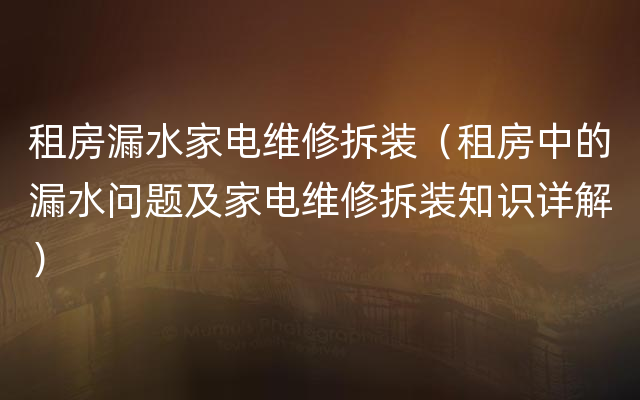 租房漏水家电维修拆装（租房中的漏水问题及家电维修拆装知识详解）