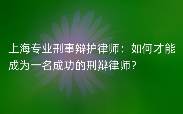 上海专业刑事辩护律师：如何才能成为一名成功的刑辩律师？