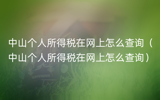 中山个人所得税在网上怎么查询（中山个人所得税在网上怎么查询）