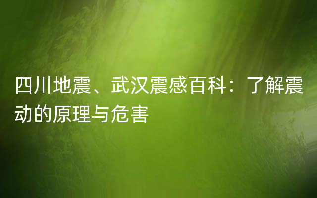 四川地震、武汉震感百科：了解震动的原理与危害