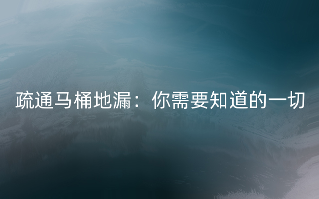 疏通马桶地漏：你需要知道的一切