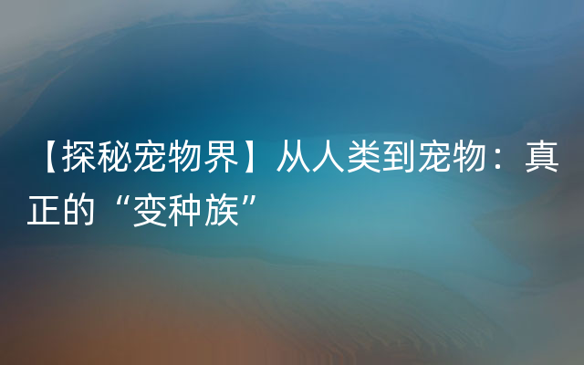 【探秘宠物界】从人类到宠物：真正的“变种族”