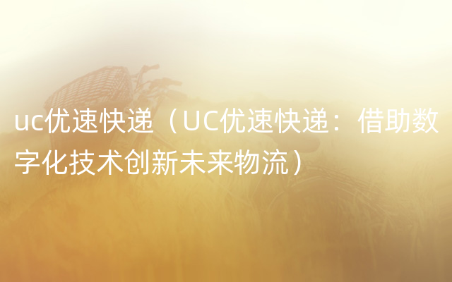 uc优速快递（UC优速快递：借助数字化技术创新未来