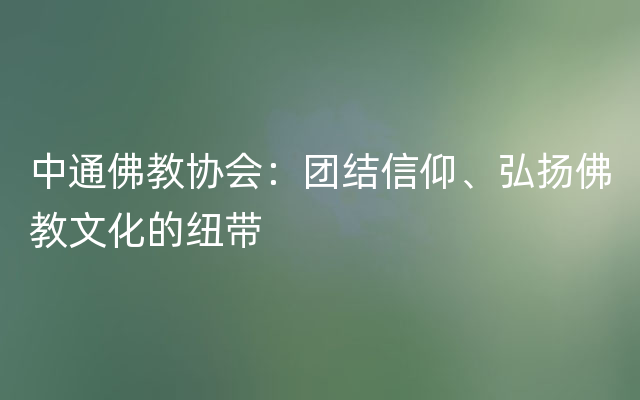 中通佛教协会：团结信仰、弘扬佛教文化的纽带