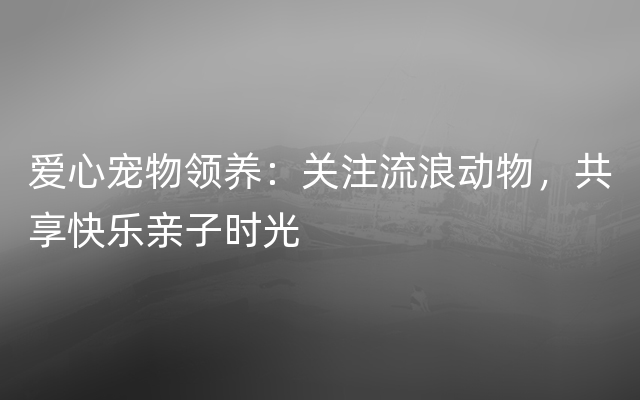 爱心宠物领养：关注流浪动物，共享快乐亲子时光