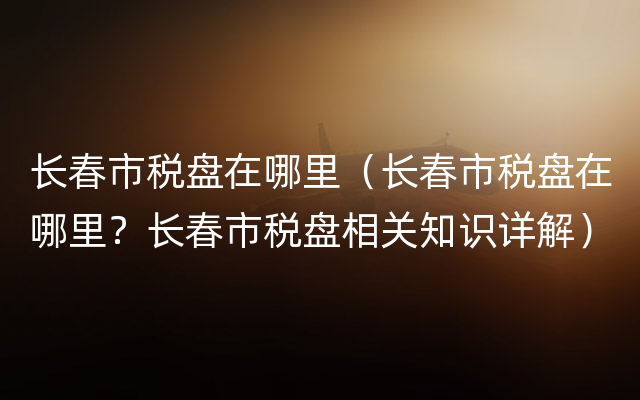 长春市税盘在哪里（长春市税盘在哪里？长春市税盘相关知识详解）