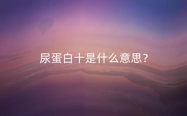 尿蛋白十是什么意思？