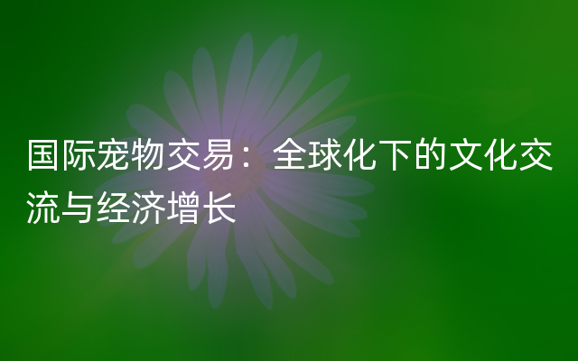 国际宠物交易：全球化下的文化交流与经济增长