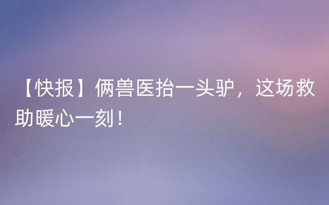 【快报】俩兽医抬一头驴，这场救助暖心一刻！