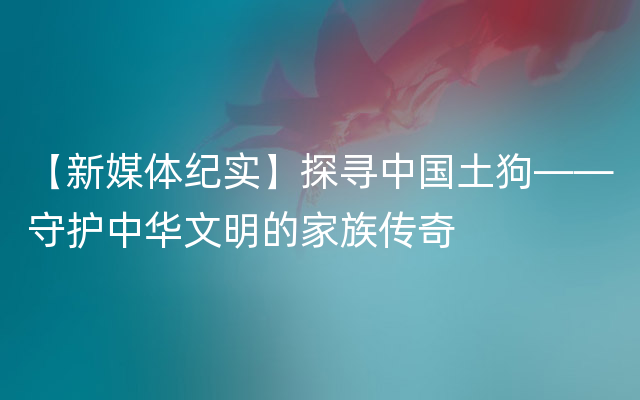 【新媒体纪实】探寻中国土狗——守护中华文明的家族传奇