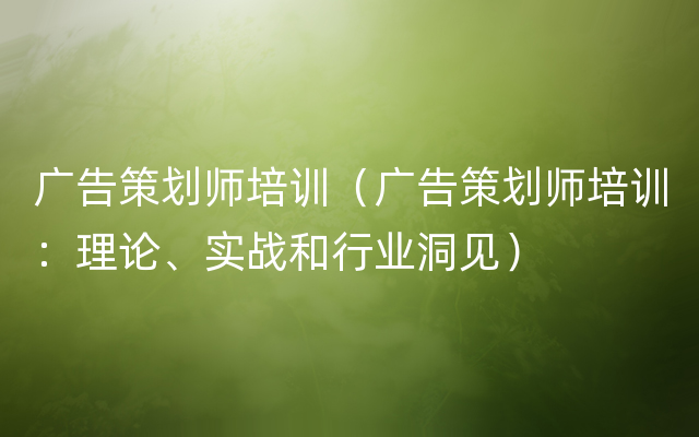 广告策划师培训（广告策划师培训：理论、实战和行业洞见）