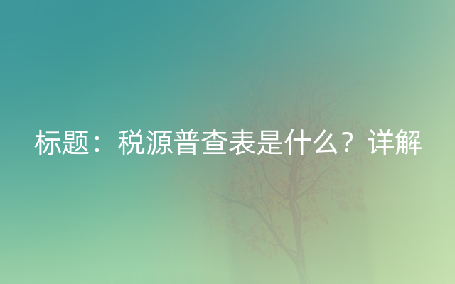 标题：税源普查表是什么？详解