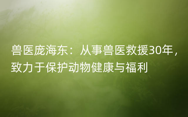 兽医庞海东：从事兽医救援30年，致力于保护动物健康与福利