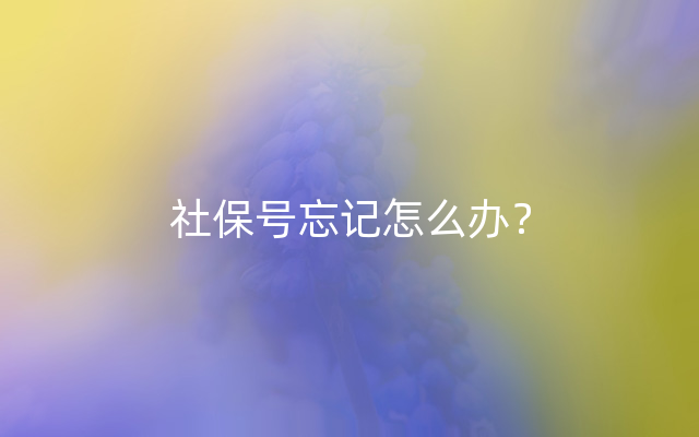 社保号忘记怎么办？