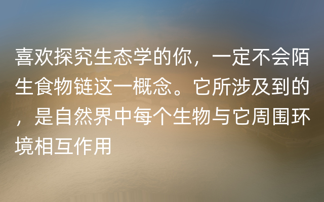 喜欢探究生态学的你，一定不会陌生食物链这一概念。它所涉及到的，是自然界中每个生物