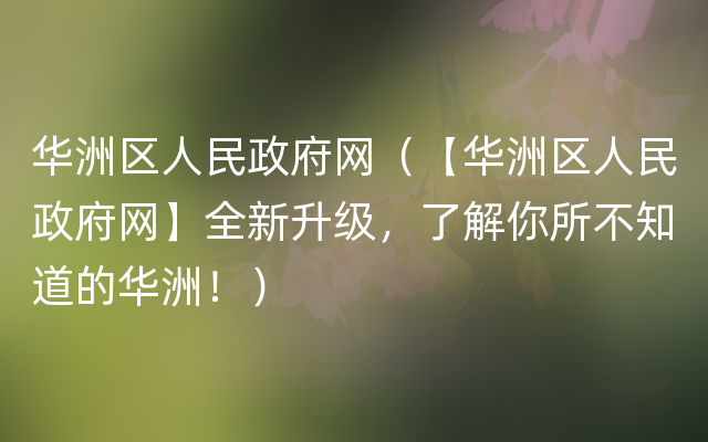 华洲区人民政府网（【华洲区人民政府网】全新升级，了解你所不知道的华洲！）