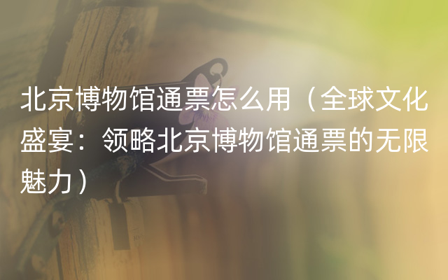 北京博物馆通票怎么用（全球文化盛宴：领略北京博物馆通票的无限魅力）