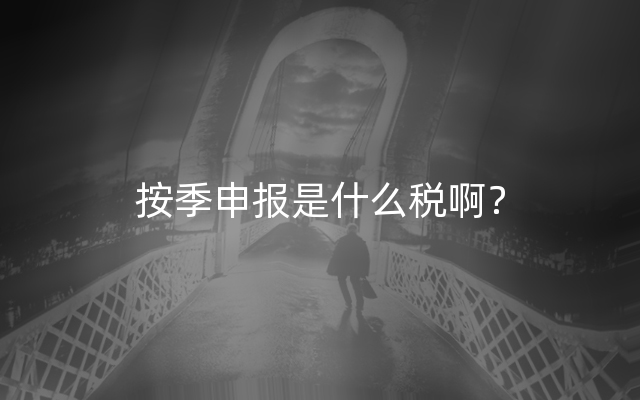 按季申报是什么税啊？