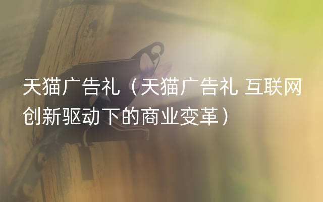 天猫广告礼（天猫广告礼 互联网创新驱动下的商业变革）