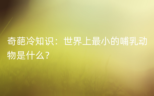 奇葩冷知识：世界上最小的哺乳动物是什么？