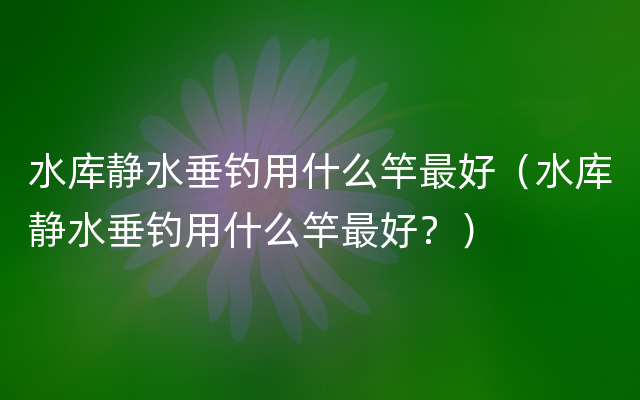 水库静水垂钓用什么竿最好（水库静水垂钓用什么竿最好？）