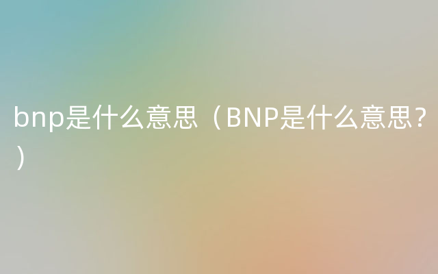 bnp是什么意思（BNP是什么意思？）