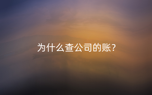 为什么查公司的账？