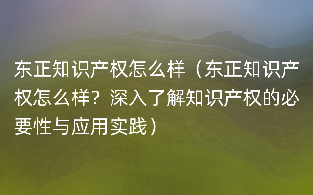 东正知识产权怎么样（东正知识产权怎么样？深入了解知识产权的必要性与应用实践）