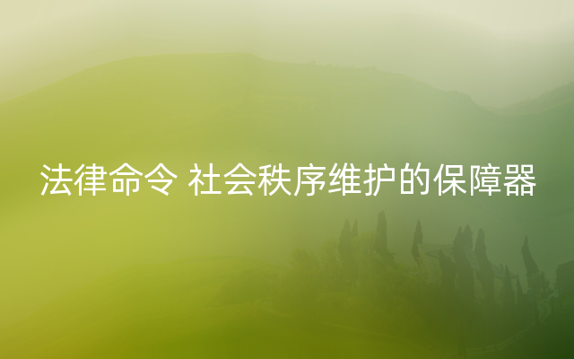 法律命令 社会秩序维护的保障器