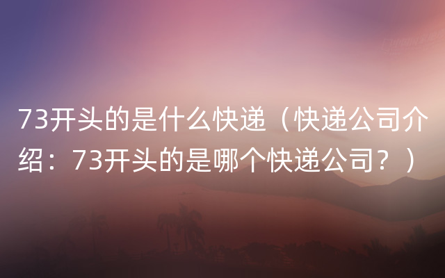 73开头的是什么快递（快递公司介绍：73开头的是哪个快递公司？）