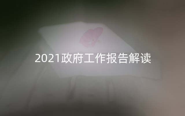 2021政府工作报告解读