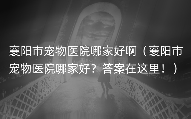 襄阳市宠物医院哪家好啊（襄阳市宠物医院哪家好？答案在这里！）