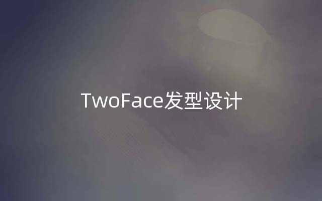 TwoFace发型设计