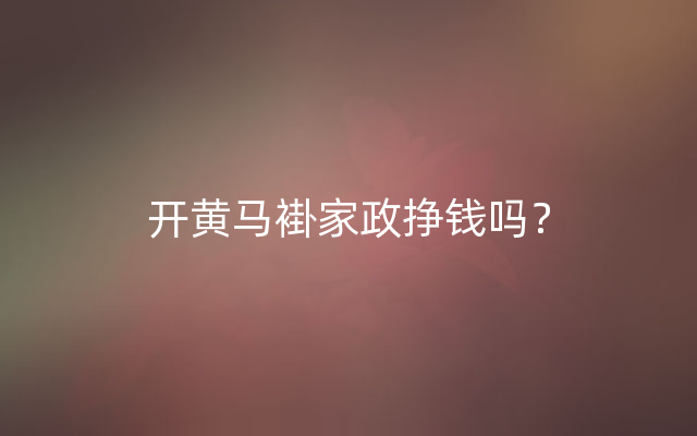 开黄马褂家政挣钱吗？