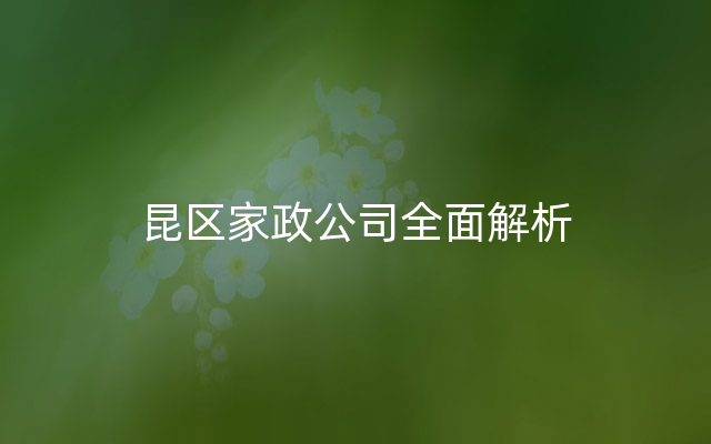 昆区家政公司全面解析