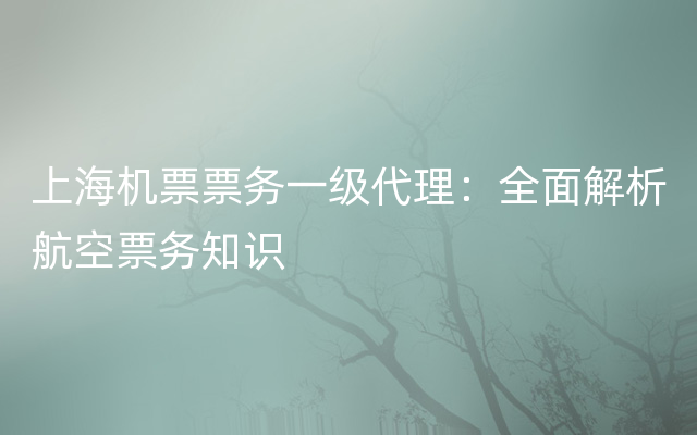 上海机票票务一级代理：全面解析航空票务知识