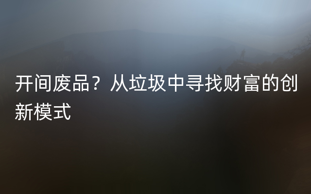 开间废品？从垃圾中寻找财富的创新模式