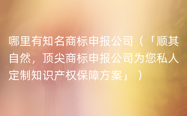 哪里有知名商标申报公司（「顺其自然，顶尖商标申报公司为您私人定制知识产权保障方案