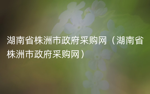 湖南省株洲市政府采购网（湖南省株洲市政府采购网）