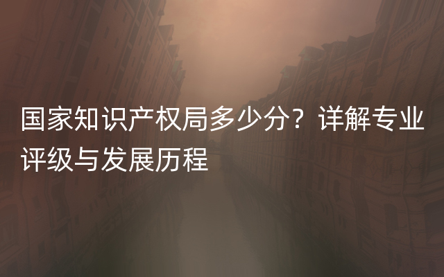 国家知识产权局多少分？详解专业评级与发展历程