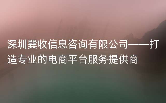 深圳巽收信息咨询有限公司——打造专业的电商平台服务提供商