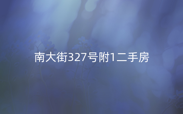 南大街327号附1二手房