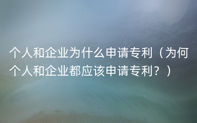 个人和企业为什么申请专利（为何个人和企业都应该申请专利？）