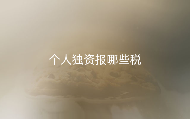 个人独资报哪些税