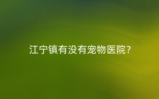 江宁镇有没有宠物医院？